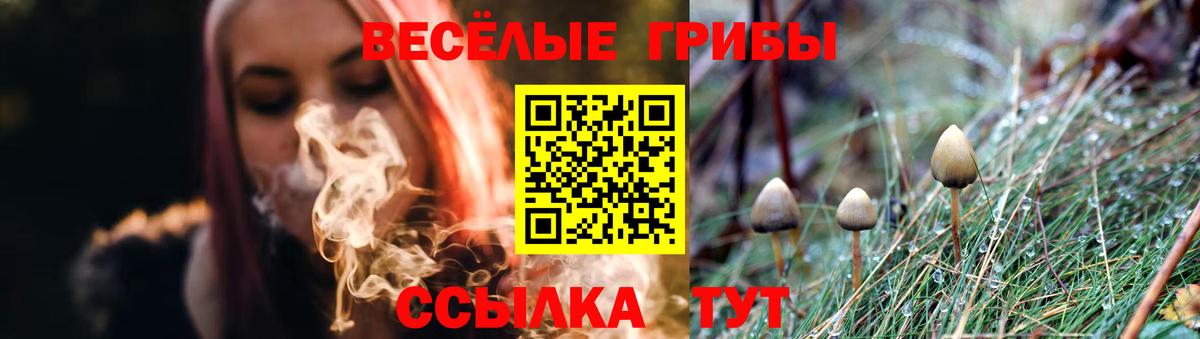 Псилоцибиновые грибы прущие грибы Среднеуральск