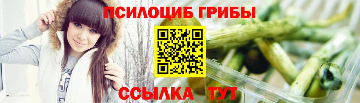 Среднеуральск  Галлюциногенные грибы Cubensis  Псилоцибиновые грибы Psilocybe  Вход с VPN 