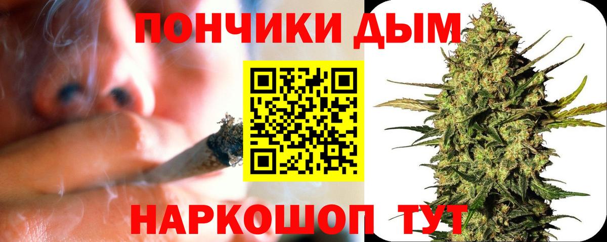 Каннабис сатива  Вход с VPN  Канабис планчик  Среднеуральск  Марихуана SATIVA & INDICA 